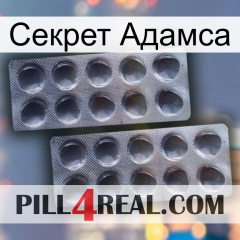 Секрет Адамса 31